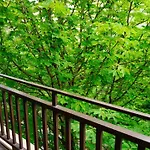 гардънс - Gardens