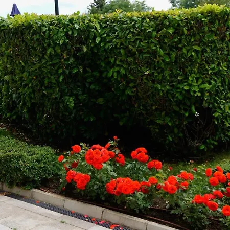 гардънс - Gardens * Balchik